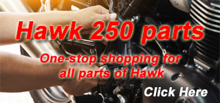 Hawk 250 Parts